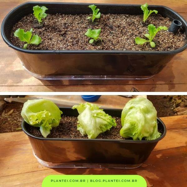 Escolhendo o Local Ideal: A Luz é o Segredo - inspiração 2