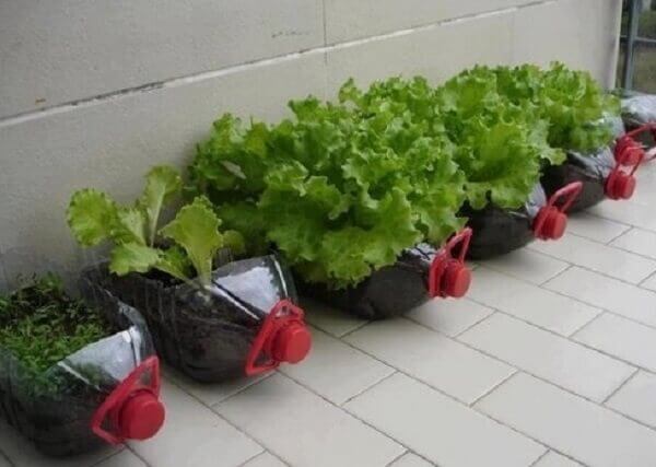 Vasos e Recipientes: Do Pequeno ao Grande - inspiração 2