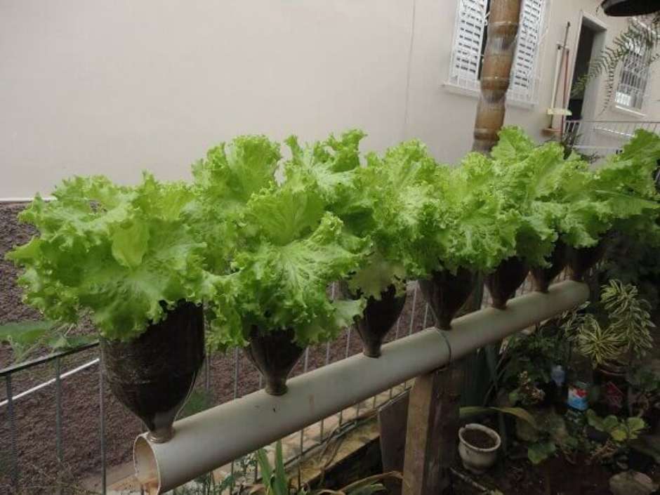 Rega: Nem Muito, Nem Pouco - inspiração 2