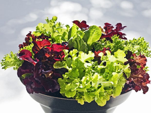 Adubação: Nutrição Para Folhas Saudáveis - inspiração 1