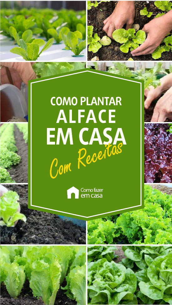 Controle de Pragas e Doenças: A Natureza Como Aliada - inspiração 2