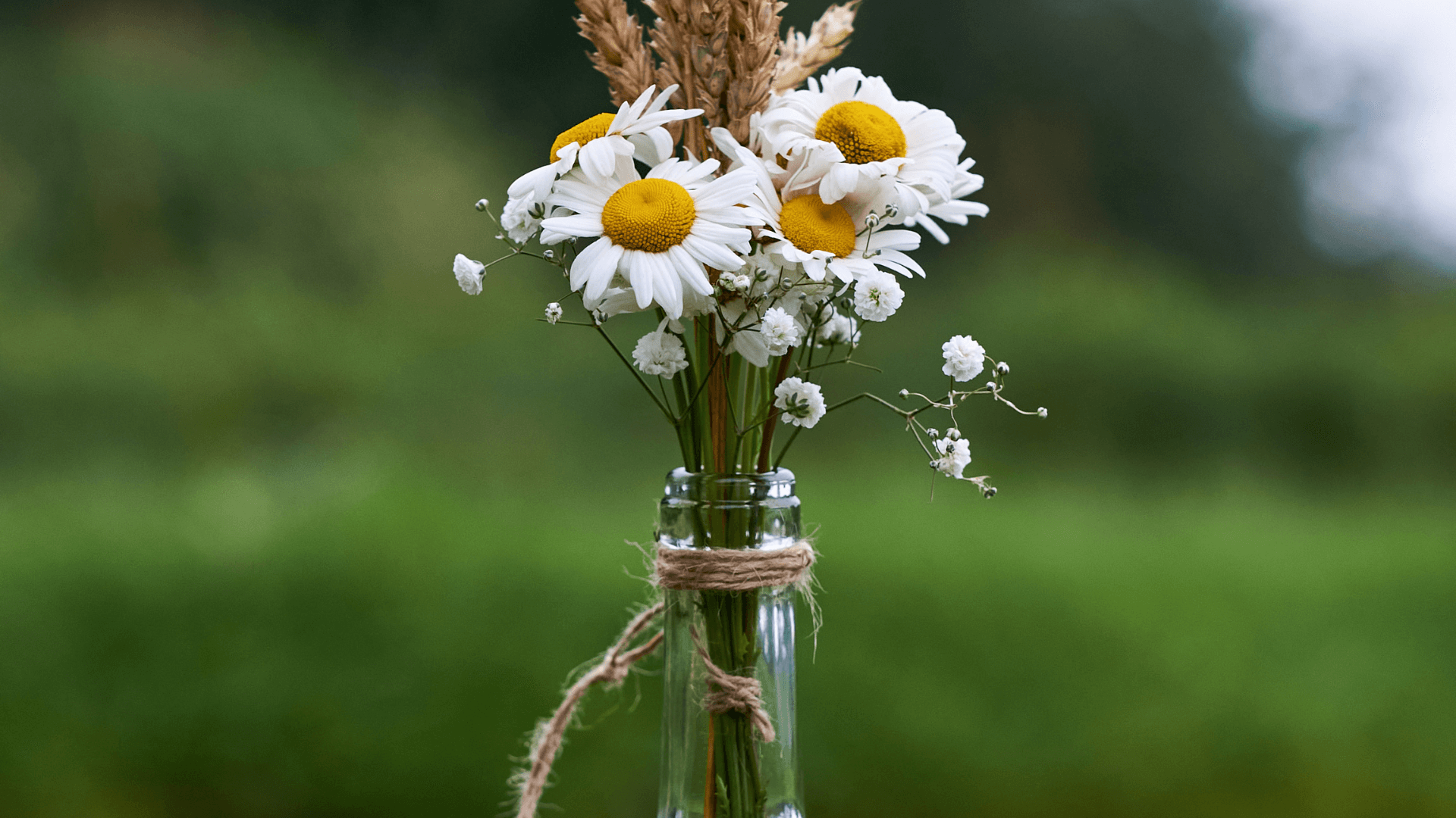 Iluminação Aconchegante: Garrafas com Luzes de Fio de LED - inspiração 1