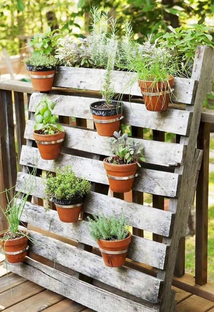 Canteiros Elevados e Hortas Verticais: Cultive Com Beleza e Praticidade - inspiração 1