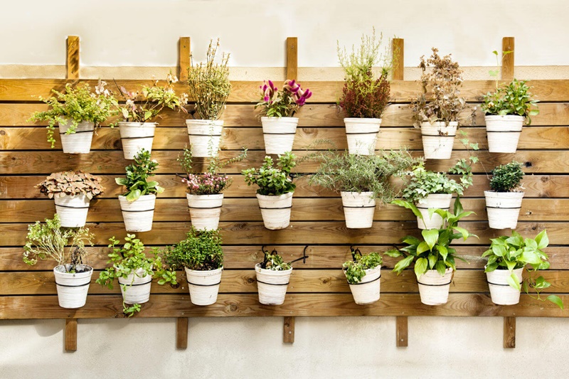 Prateleiras e Nichos: Organize e Decore Suas Plantas e Acessórios - inspiração 1