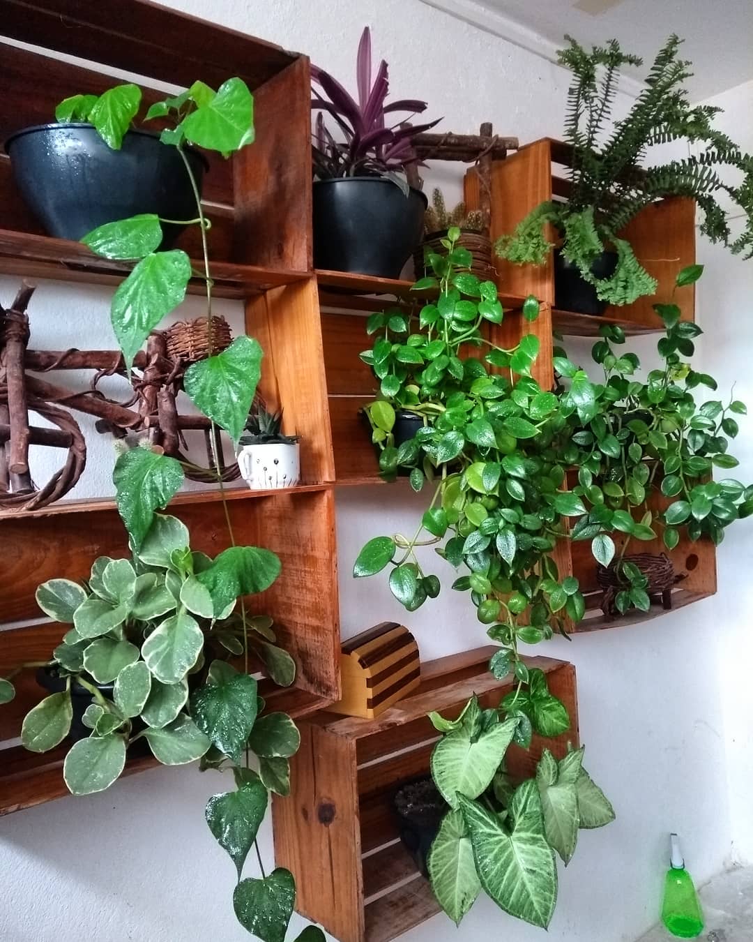 Detalhes Que Encantam: Painéis, Cercas e Luminárias Criativas - inspiração 1