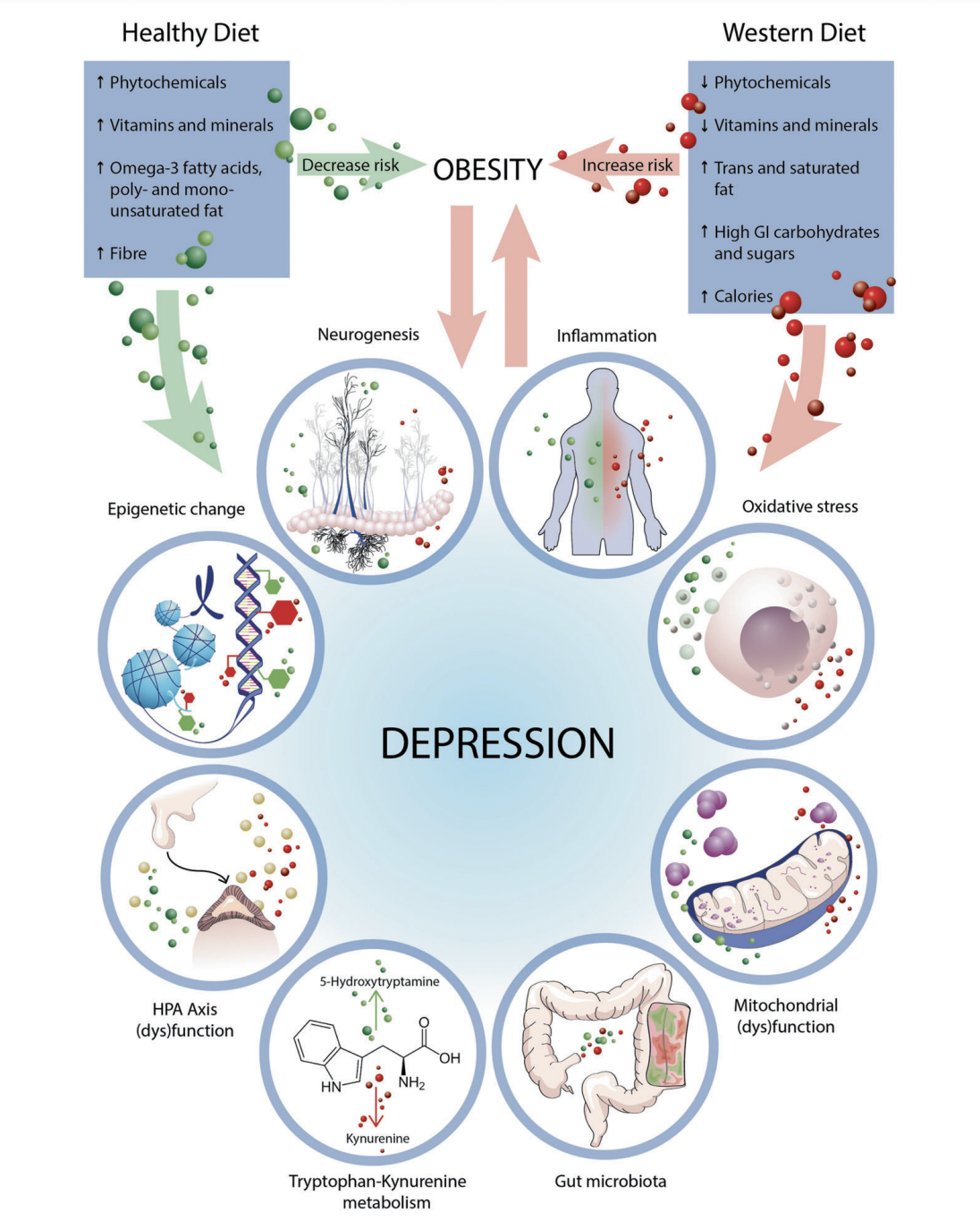 Dúvidas Frequentes Sobre os Primeiros Sinais - inspiração 2