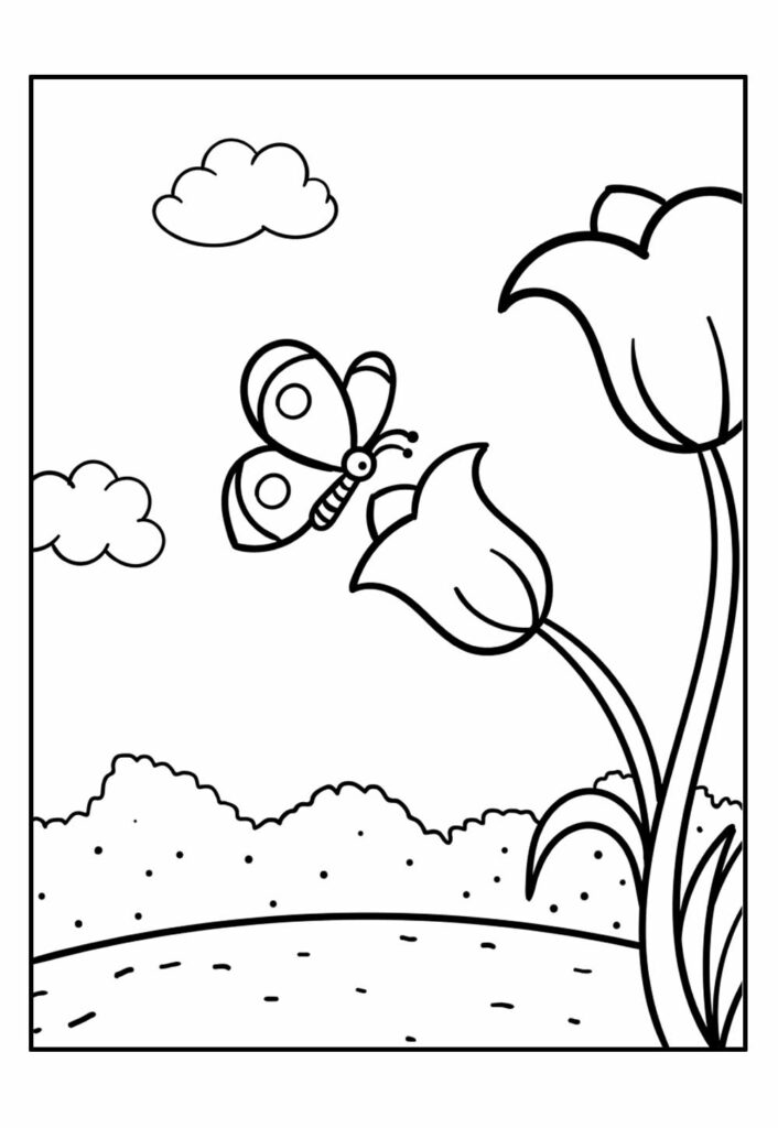 Paisagens Minimais: A Elegância da Simplicidade Natural - inspiração 1