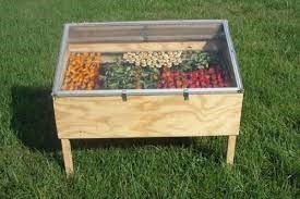 Usando o Forno para Desidratar: Controle e Eficiência - inspiração 2