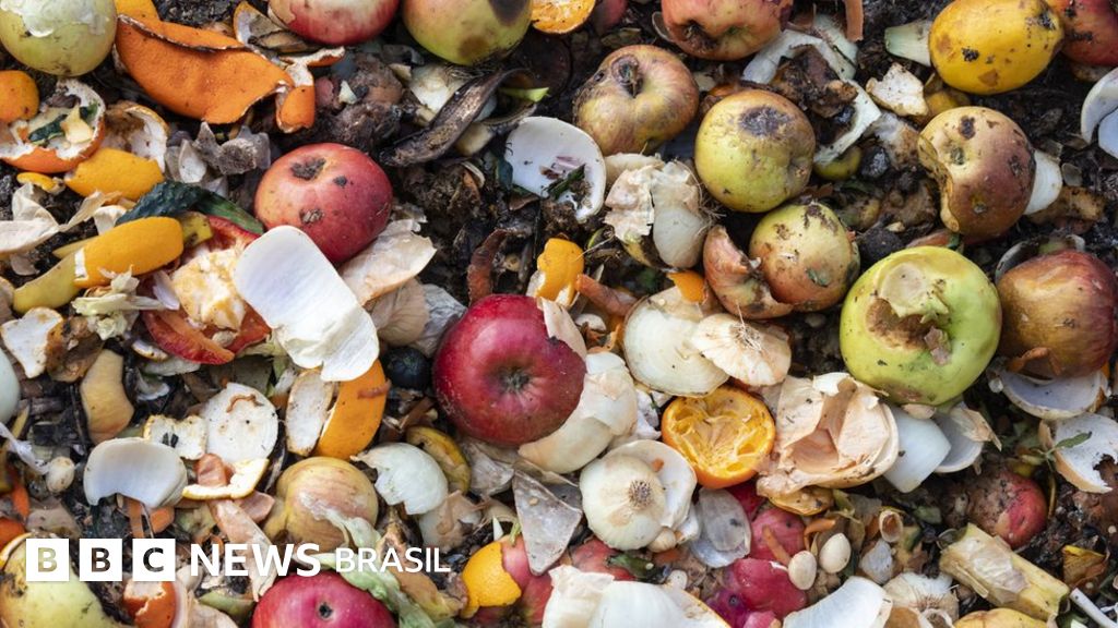 Compras Conscientes: O Que Realmente Vai Para a Mesa? - inspiração 2