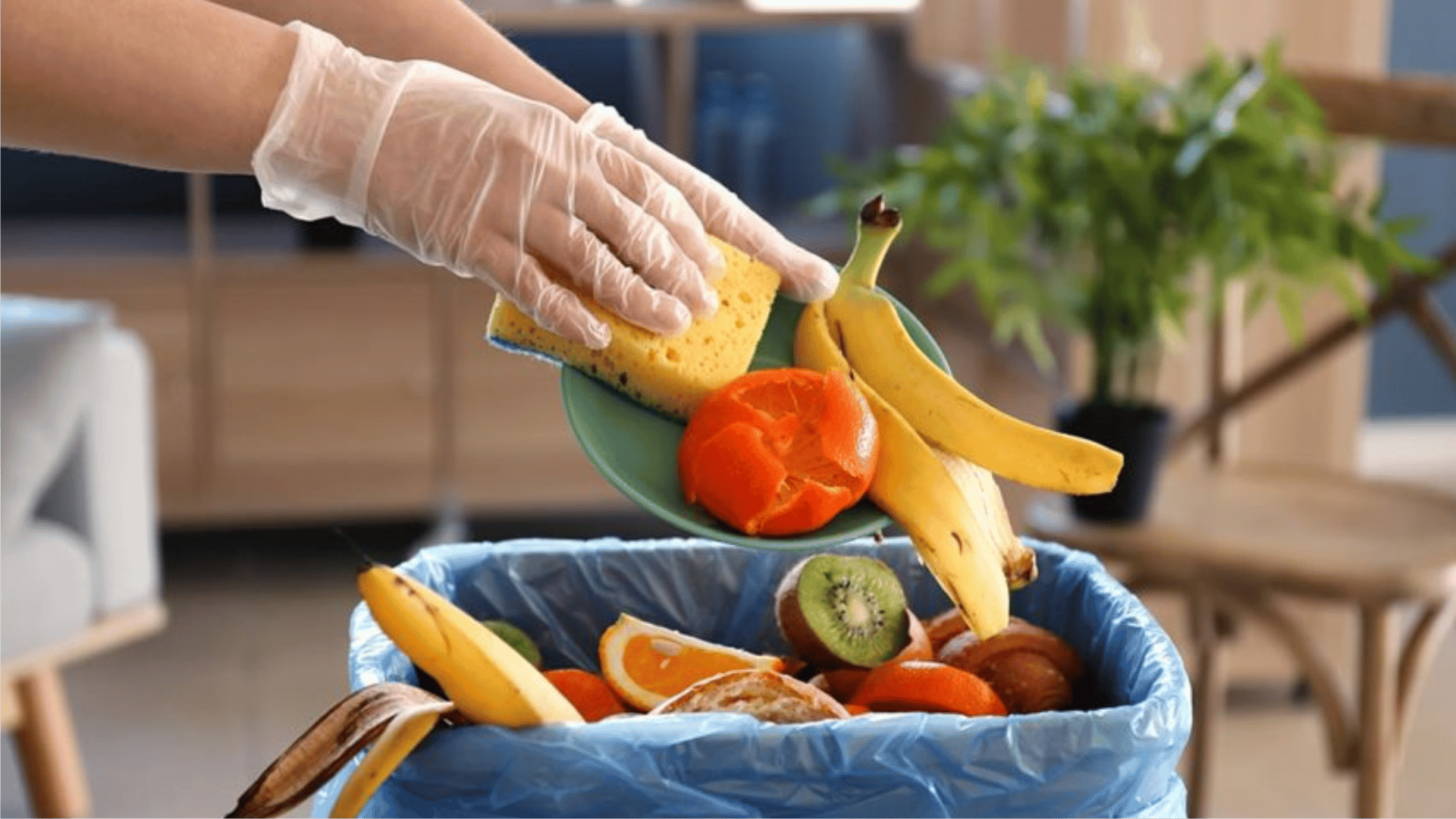 Congele e Reutilize: Seu Aliado Contra o Desperdício - inspiração 2