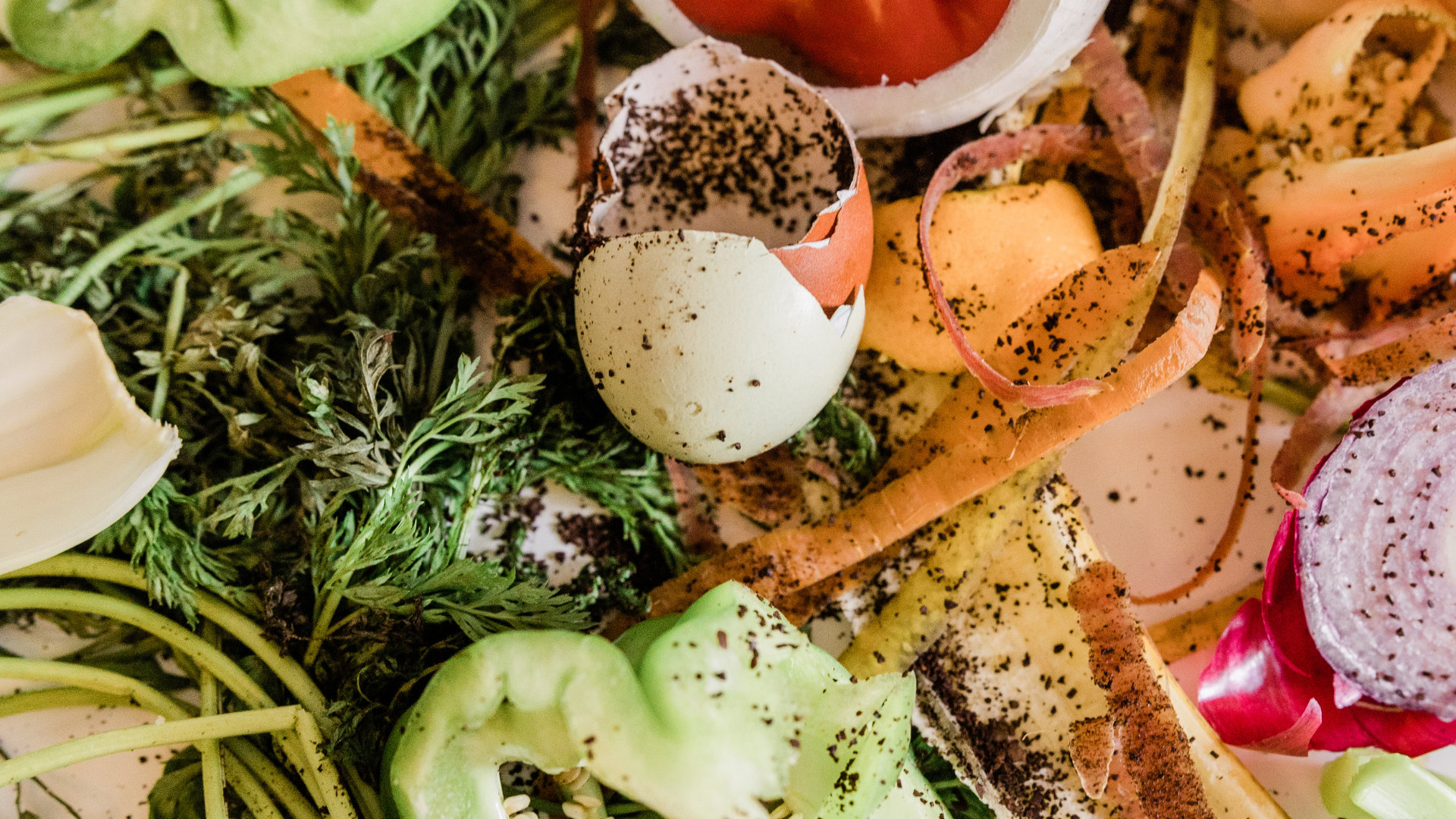 Compostagem Doméstica: Transforme Restos Orgânicos em Adubo Rico - inspiração 1