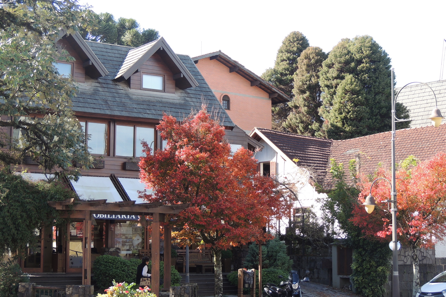 Bento Gonçalves (RS): Vinhos e Paisagens no Vale dos Vinhedos - inspiração 2