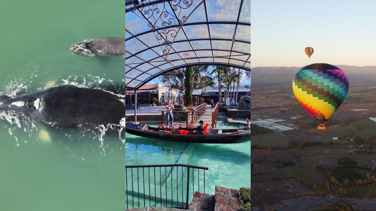 Guarda do Embaú: Charme Rústico e Sintonia com a Natureza - inspiração 2