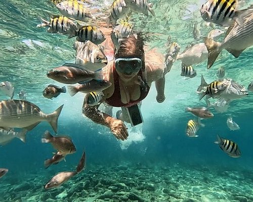 Honduras (Bay Islands): O Paraíso dos Naufrágios e da Vida Marinha - inspiração 2