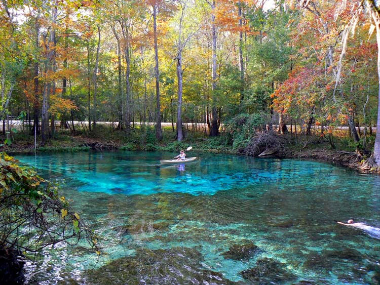 Panamá (Bocas del Toro): Recifes Saudáveis e Tartarugas Marinhas - inspiração 1