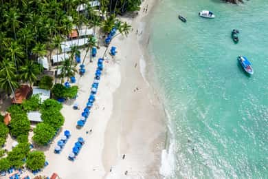 Roatán (Honduras): Mergulhos Noturnos e Paredões Impressionantes - inspiração 1