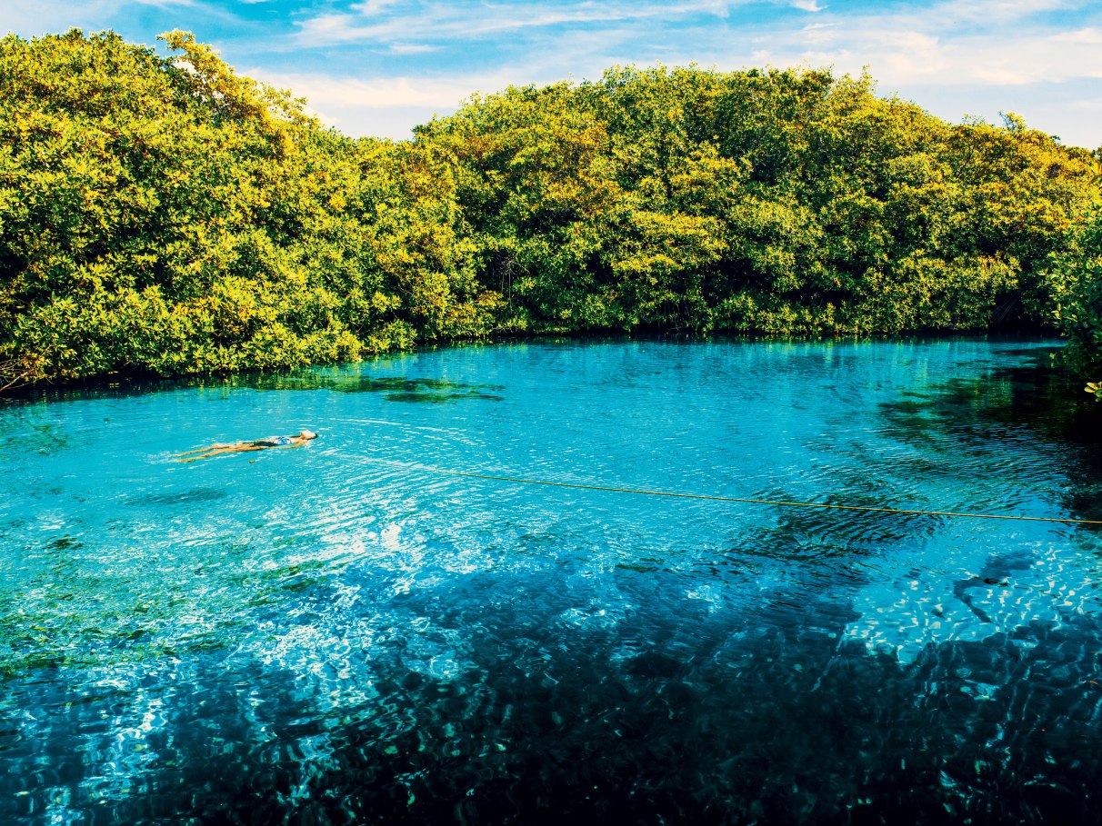 Ilha Grande (Rio de Janeiro): Isolamento em praias paradisíacas e trilhas ecológicas. - inspiração 1