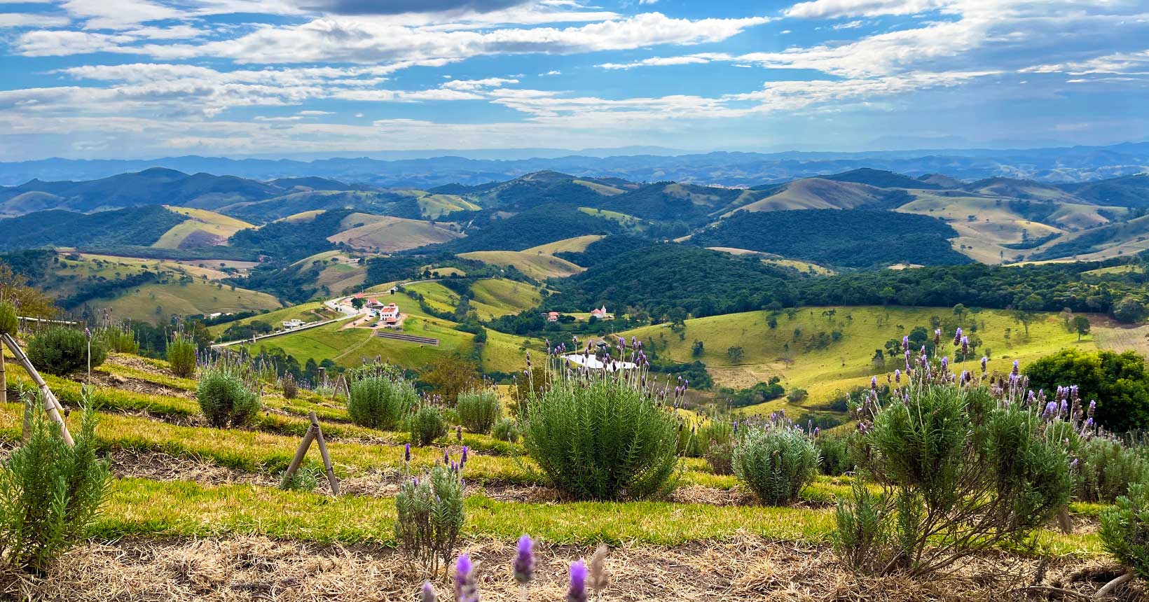 Ilha Grande (Rio de Janeiro): Isolamento em praias paradisíacas e trilhas ecológicas. - inspiração 2