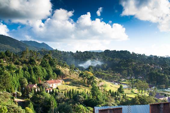 São Miguel dos Milagres (Alagoas): Piscinas naturais e o ritmo calmo do litoral. - inspiração 1
