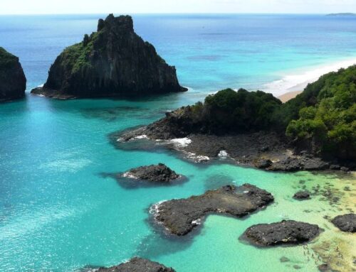 Monte Verde (Minas Gerais): Clima de montanha, pousadas aconchegantes e ar puro. - inspiração 1