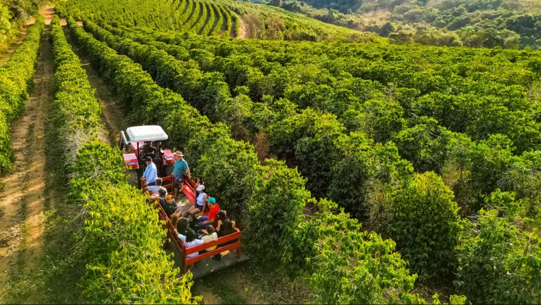 Caminhos do Campo (SP): Experiências Próximas à Metrópole - inspiração 1