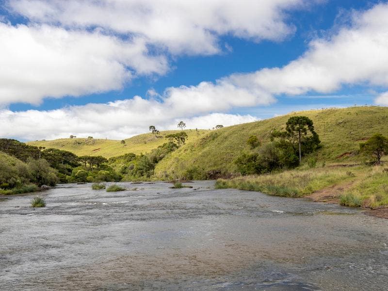Região de São Roque (SP): Rotas do Vinho e Gastronomia - inspiração 1