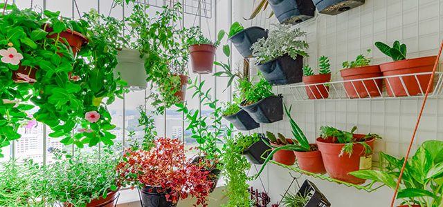 Florescer em Pequenos Espaços: Dicas Extras para Sucesso - inspiração 2