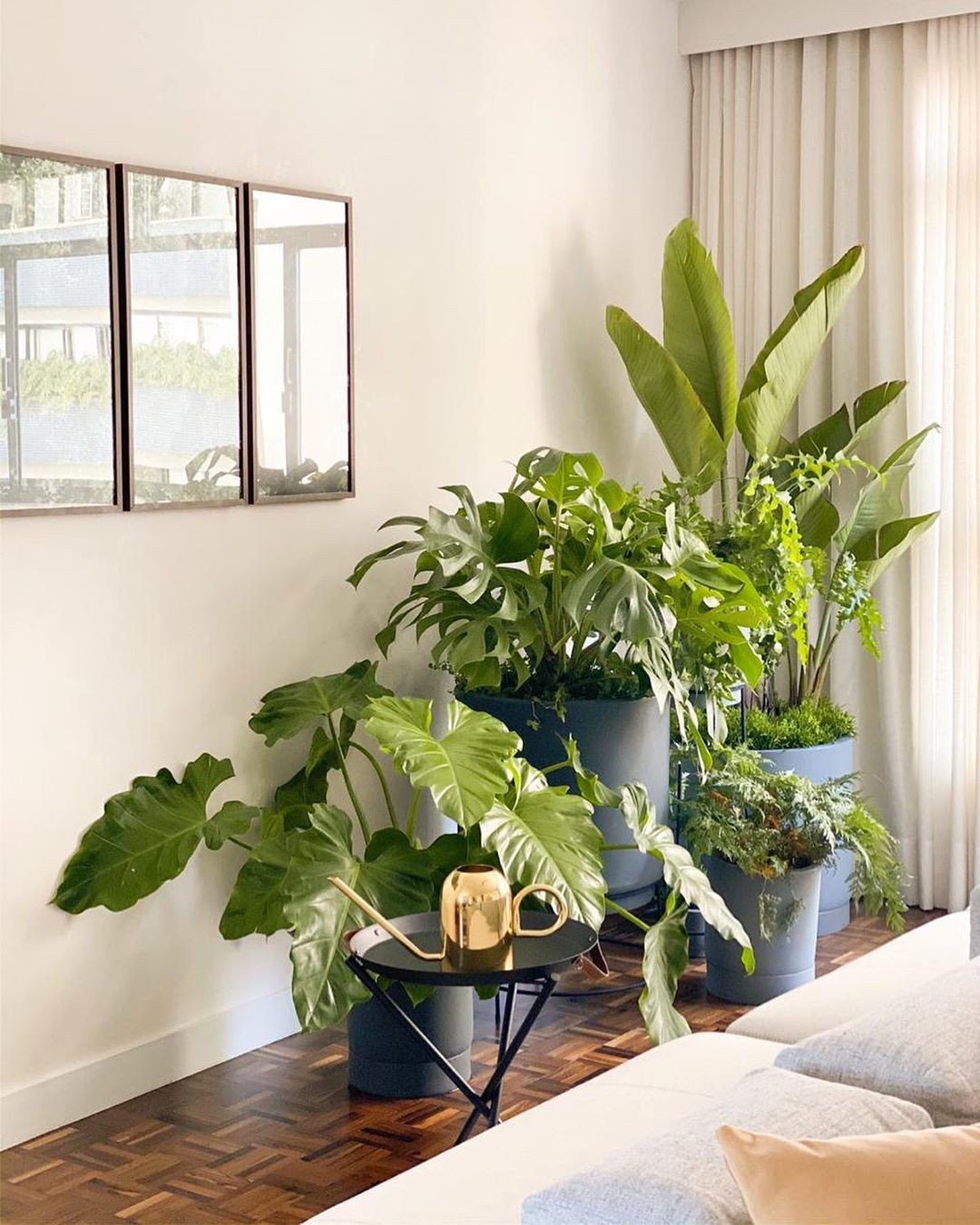 Alimentando suas Amigas Verdes: Nutrição na Medida - inspiração 2