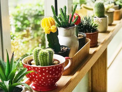 Poda que Revitaliza: Mantendo a Forma e a Saúde - inspiração 2