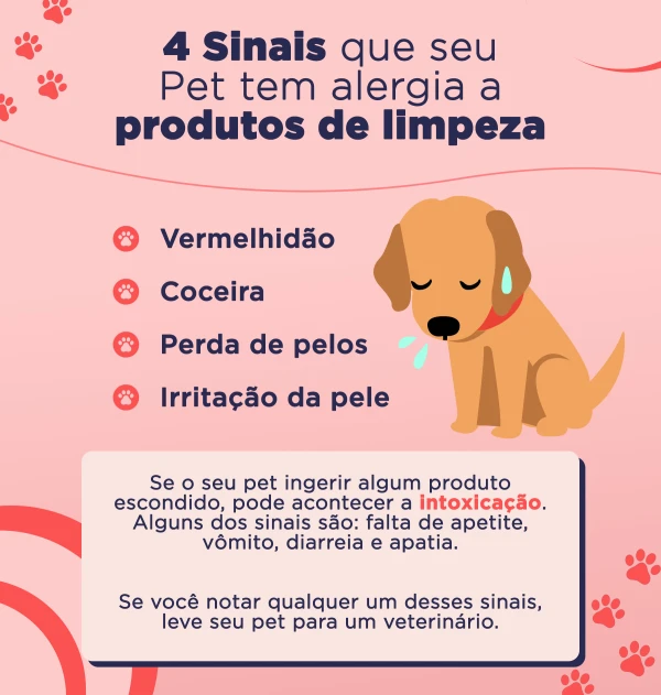 O Poder do Aspirador Certo Contra Pelos - inspiração 1