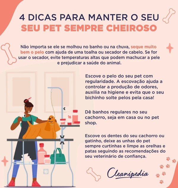 O Poder do Aspirador Certo Contra Pelos - inspiração 2