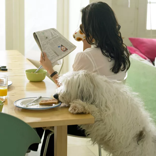 Técnicas para Controlar a Poeira e os Alérgenos - inspiração 2