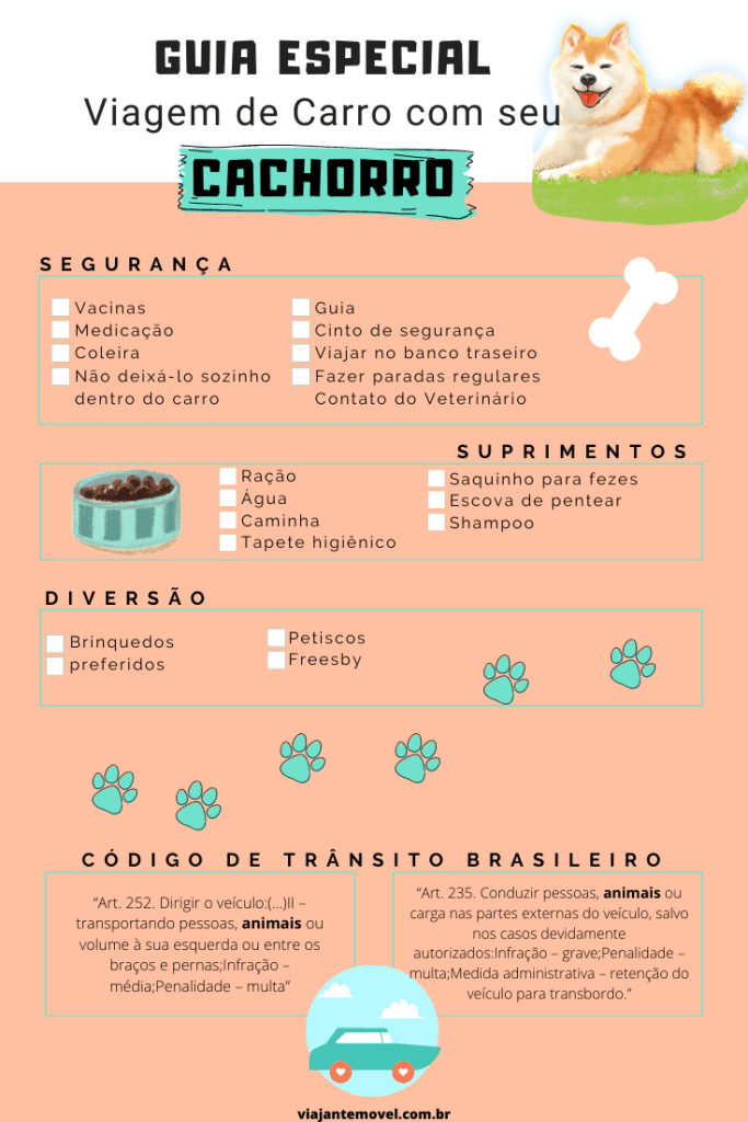 Voltando para casa: a transição para a rotina - inspiração 2