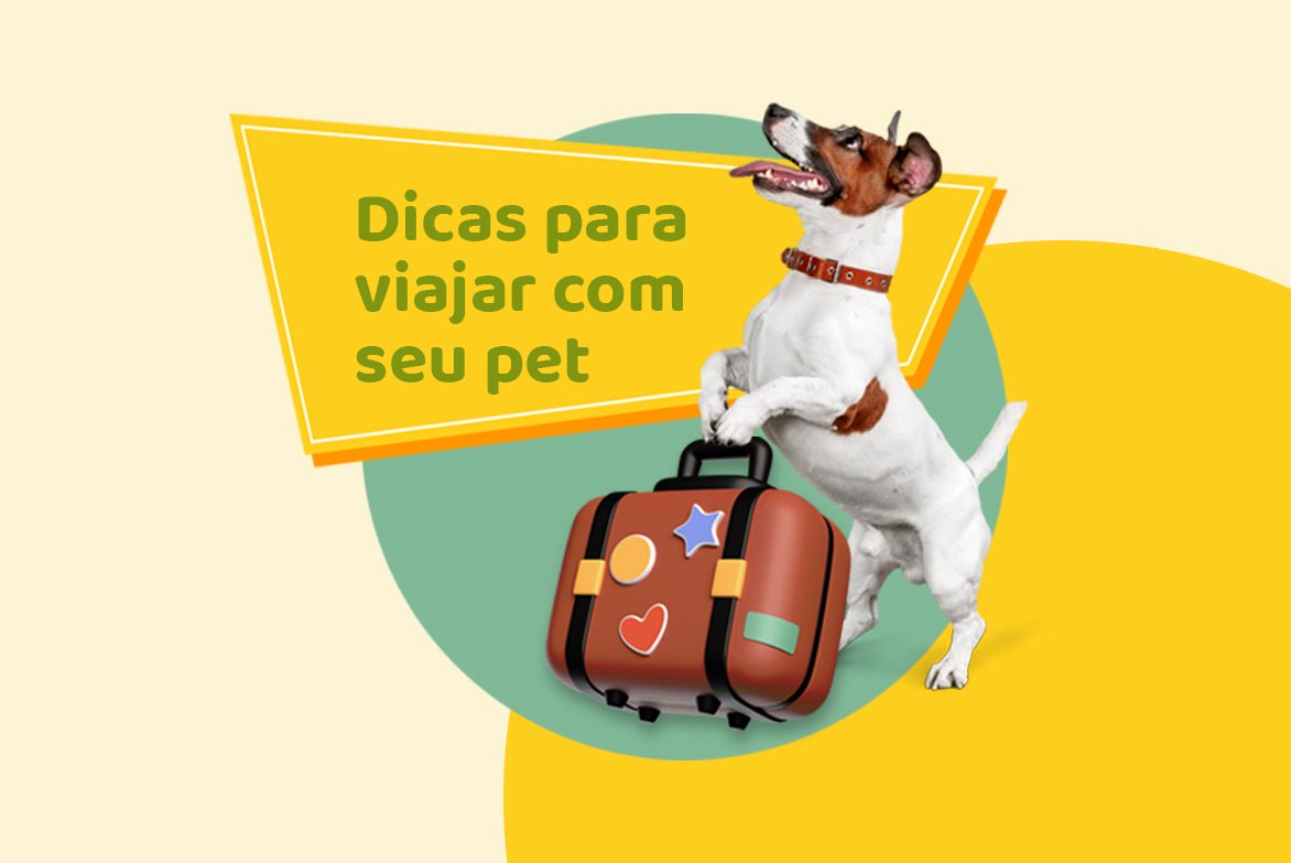 Documentação essencial: o que você precisa providenciar - inspiração 2