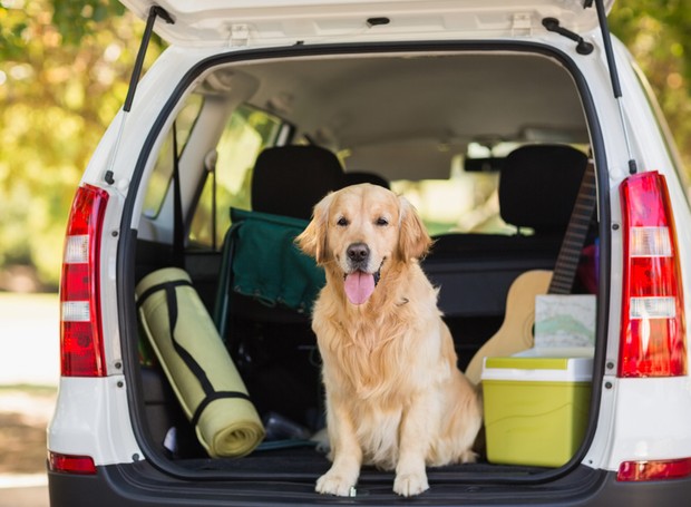 Conforto e segurança a bordo: como garantir - inspiração 1