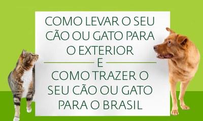 Conforto e segurança a bordo: como garantir - inspiração 2