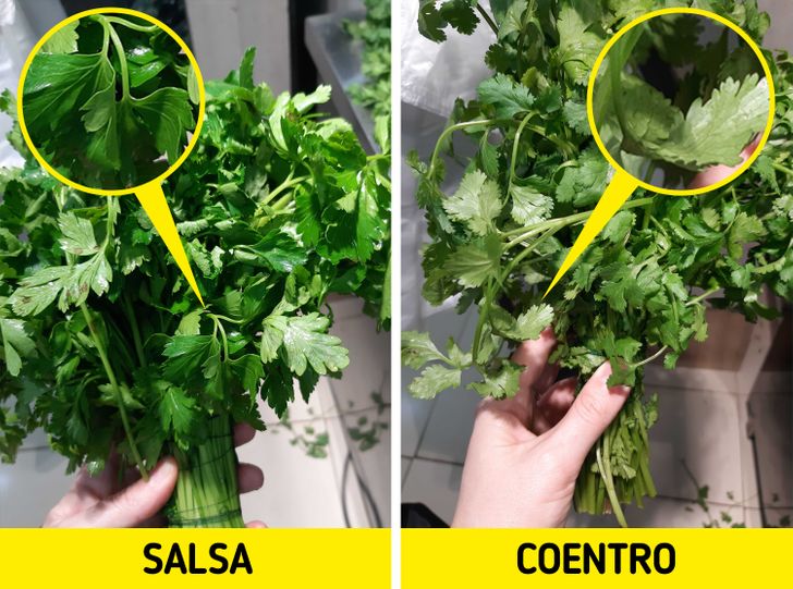 Dicas de Combinação: Par Perfeito com Outros Ingredientes - inspiração 2