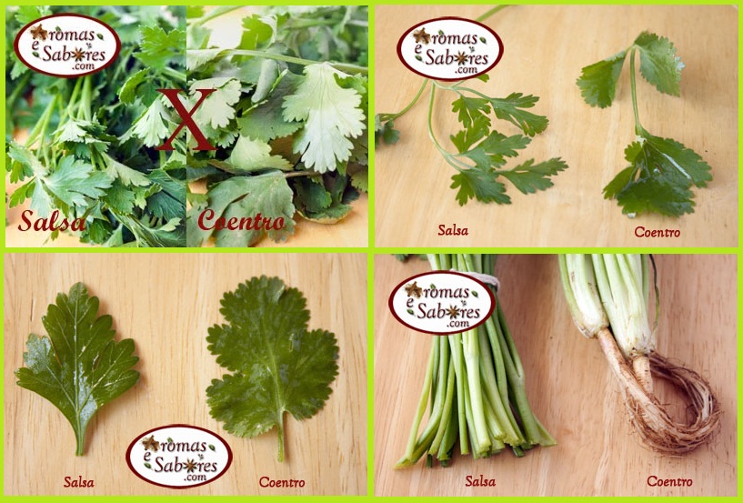 Diferenças no Frescor: Como Armazenar Corretamente - inspiração 1