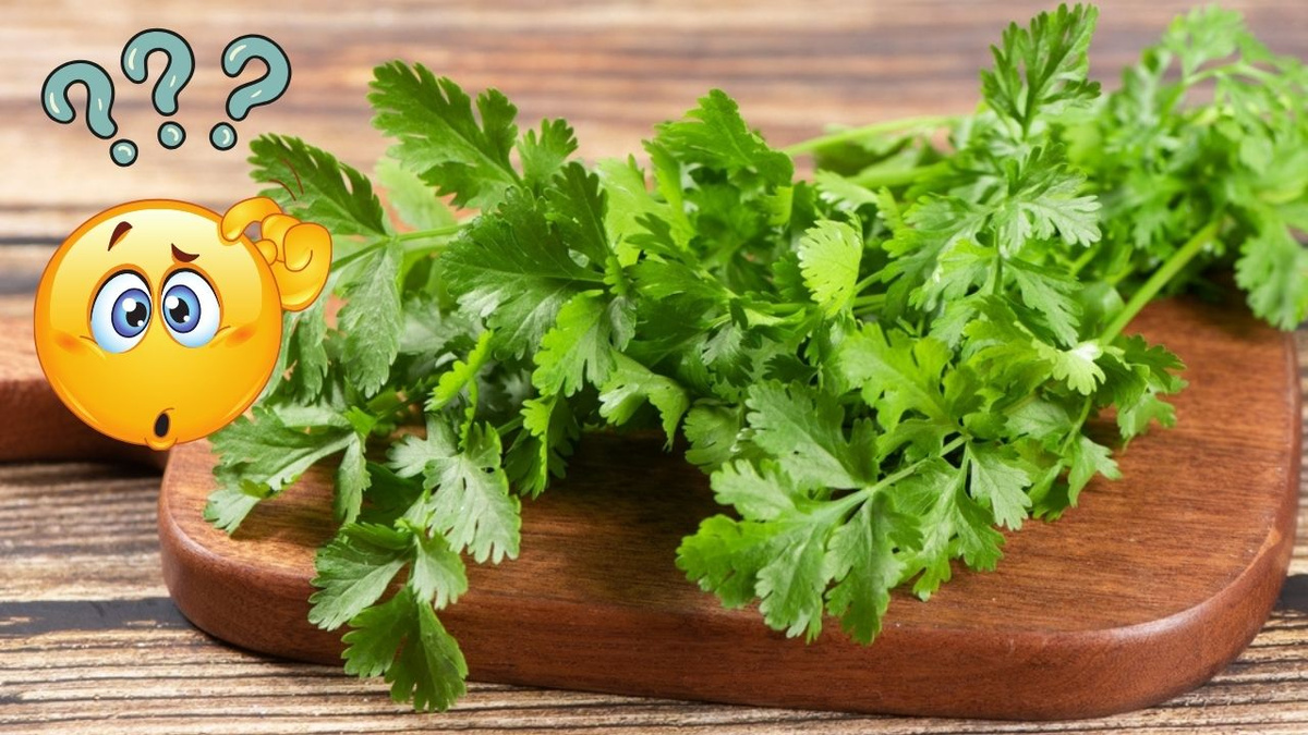 A Sensação na Boca: Textura e Mordida - inspiração 1