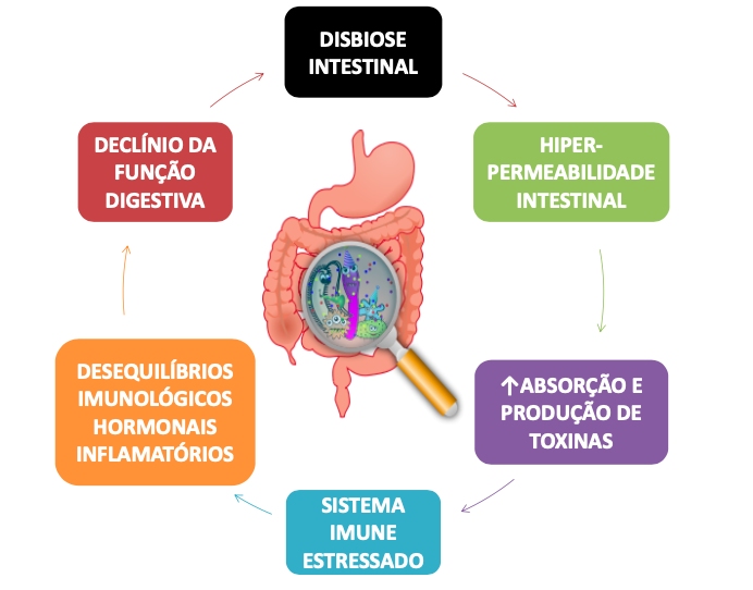 Inchaço e Gases: Mais do que desconforto diário - inspiração 2