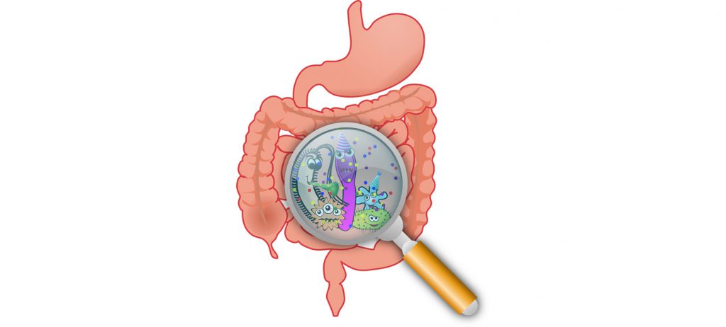 Sintomas Digestivos Variados: Uma lista que você precisa conhecer - inspiração 1