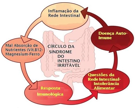 O Impacto no Sistema Imunológico: Defesas em alerta - inspiração 1
