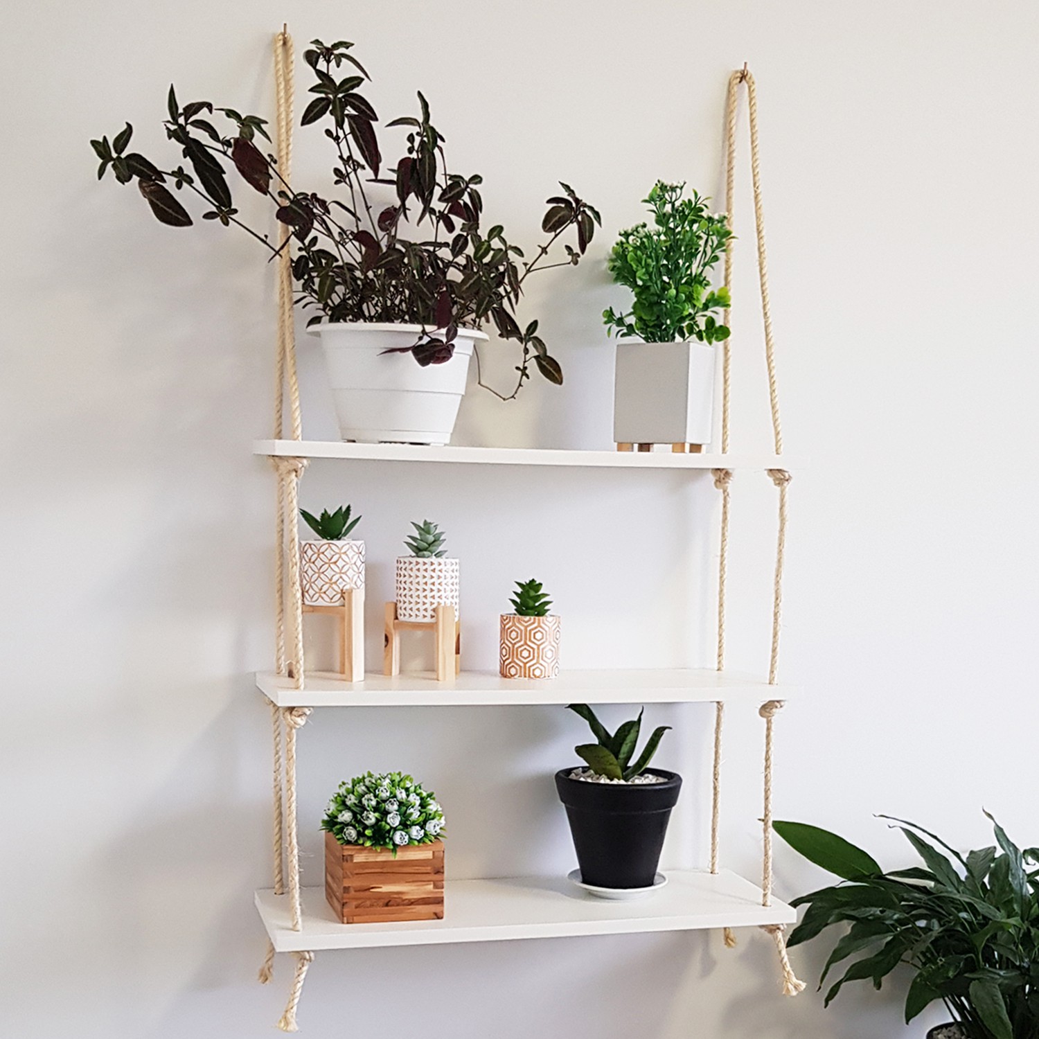 Manutenção e Cuidados: Prolongando a Beleza e a Durabilidade da Sua Criação - inspiração 1