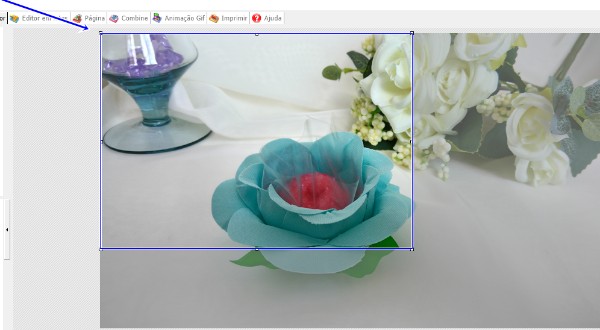 A Primeira Impressão Conta: A Importância da Foto Perfeita - inspiração 2