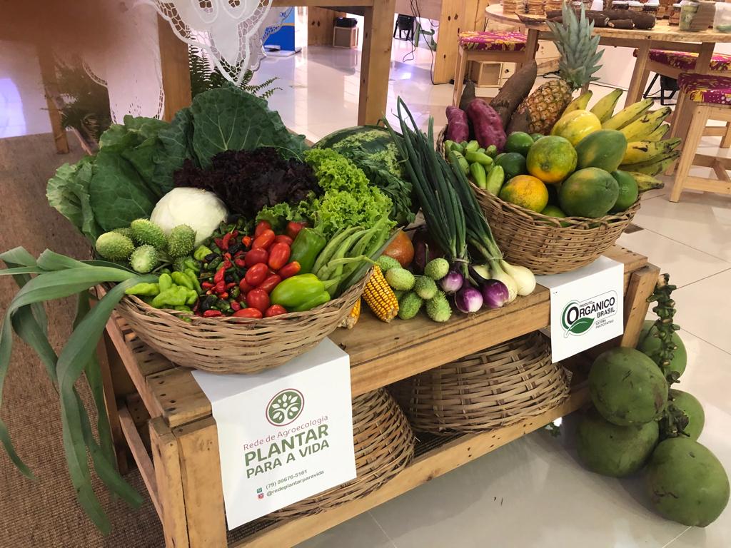 A Escolha Consciente: Por que Priorizar Produtos Orgânicos? - inspiração 2