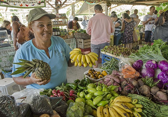 Estações do Ano: Frutas e Verduras no Seu Auge de Sabor e Nutrição - inspiração 1