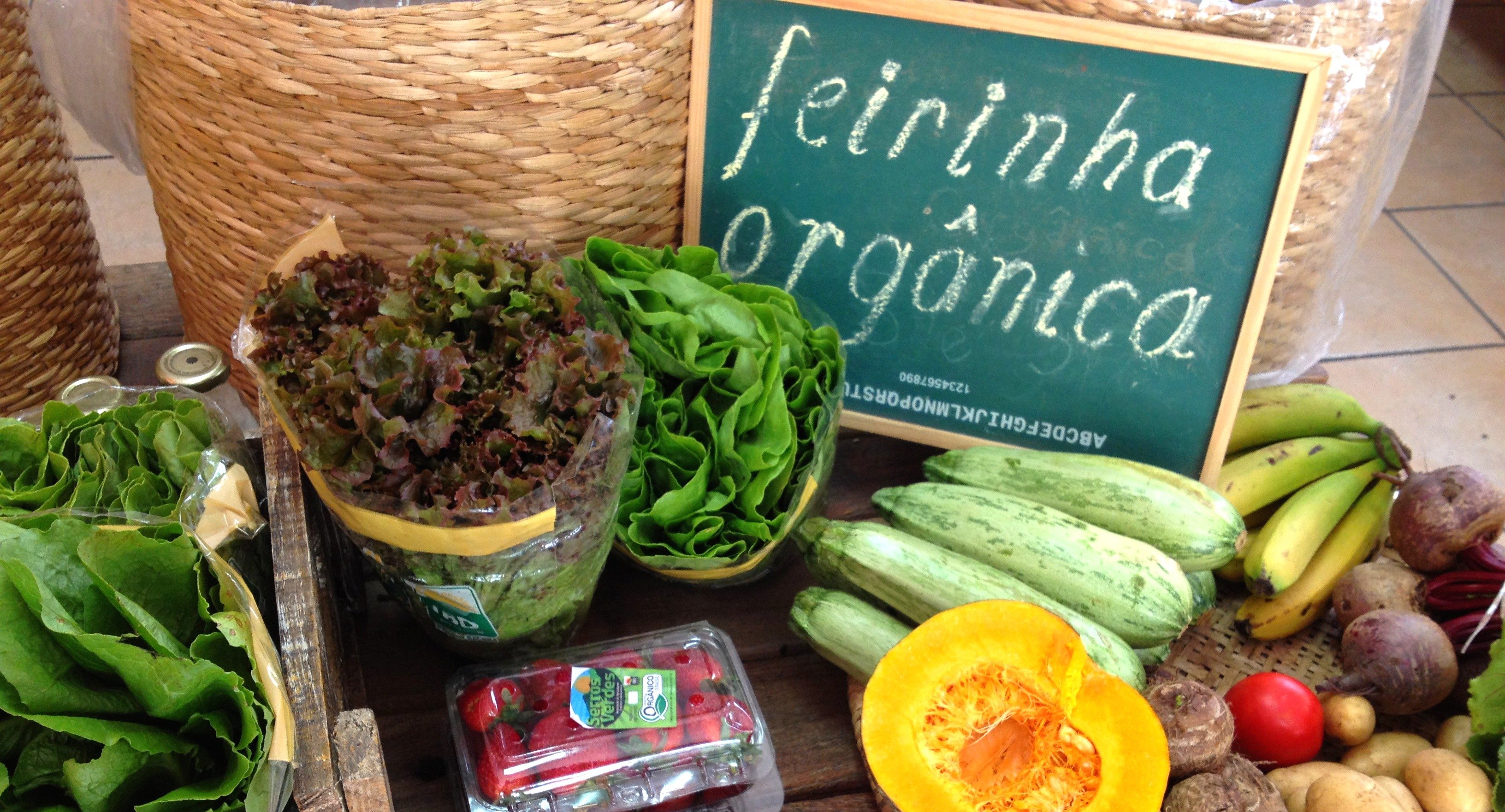 Identificando a Qualidade: Sinais de Frescor e Procedência em Produtos Orgânicos - inspiração 2