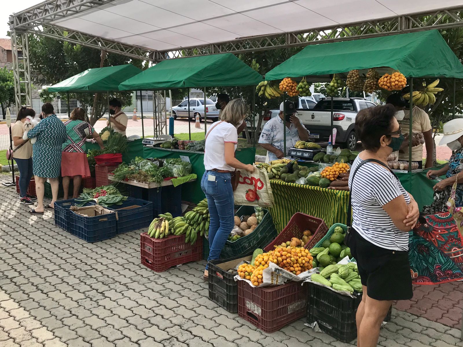 Hortaliças e Folhas: O Que Observar para Levar o Melhor para Casa - inspiração 2