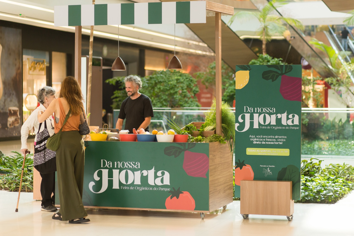 Frutas da Terra: Selecionando Delícias da Natureza com Sabedoria - inspiração 1