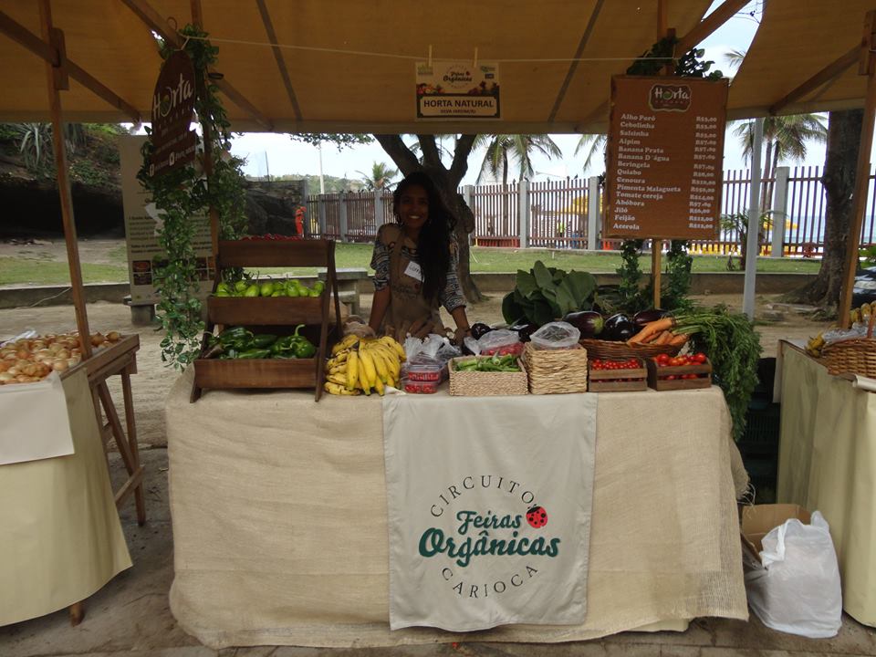 Frutas da Terra: Selecionando Delícias da Natureza com Sabedoria - inspiração 2